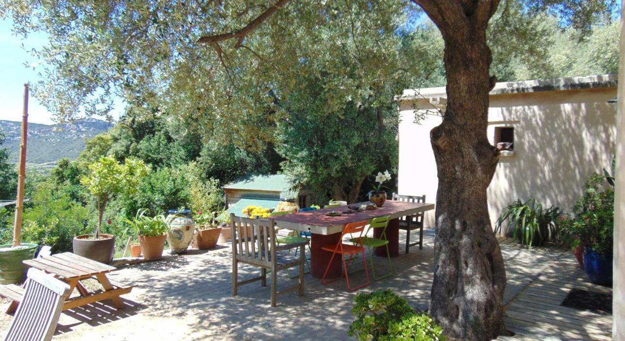 Les Oliviers Bed and Breakfast Casta Esterno foto